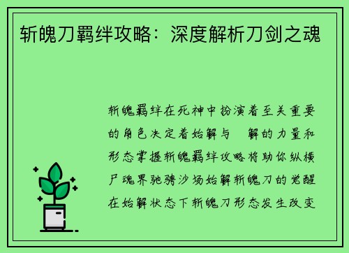 斩魄刀羁绊攻略：深度解析刀剑之魂
