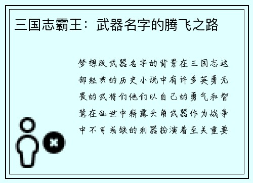 三国志霸王：武器名字的腾飞之路