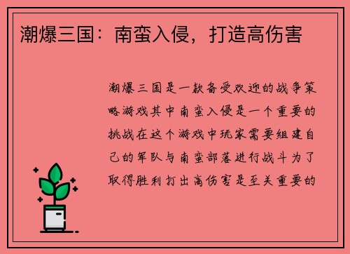 潮爆三国：南蛮入侵，打造高伤害